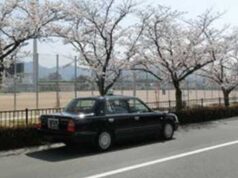 観桜タクシー（山口市編）｜山口県観光タクシー